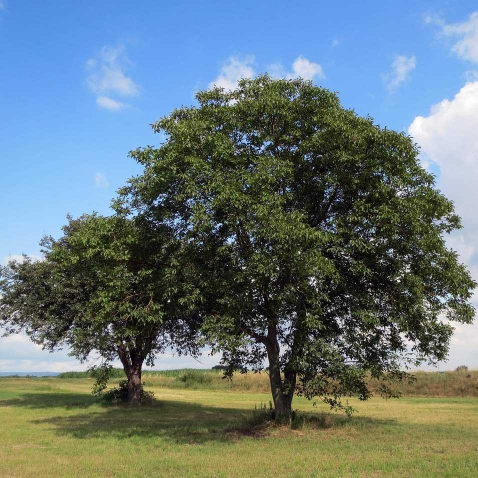 Dans l'imperfection réside la vraie beauté : embrassons-la et créons un monde authentique